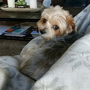 Meet your Posher, Karin